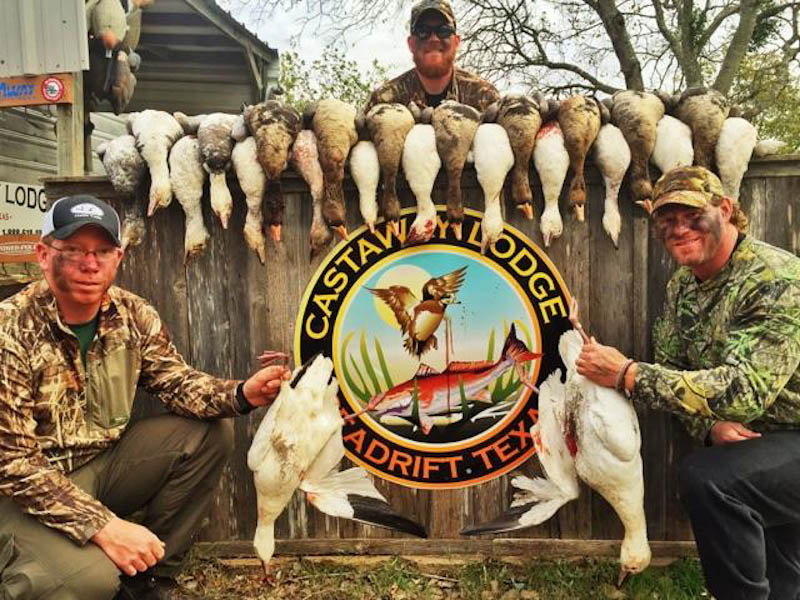 Waterfowl Seasons And Bag Limits IUCN Water