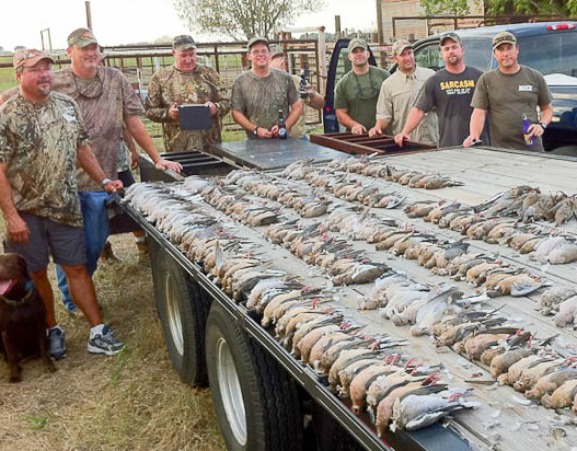 Dove hunting trips texas