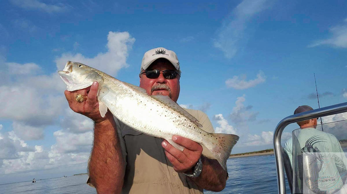 Solid Trout coming to the boards.