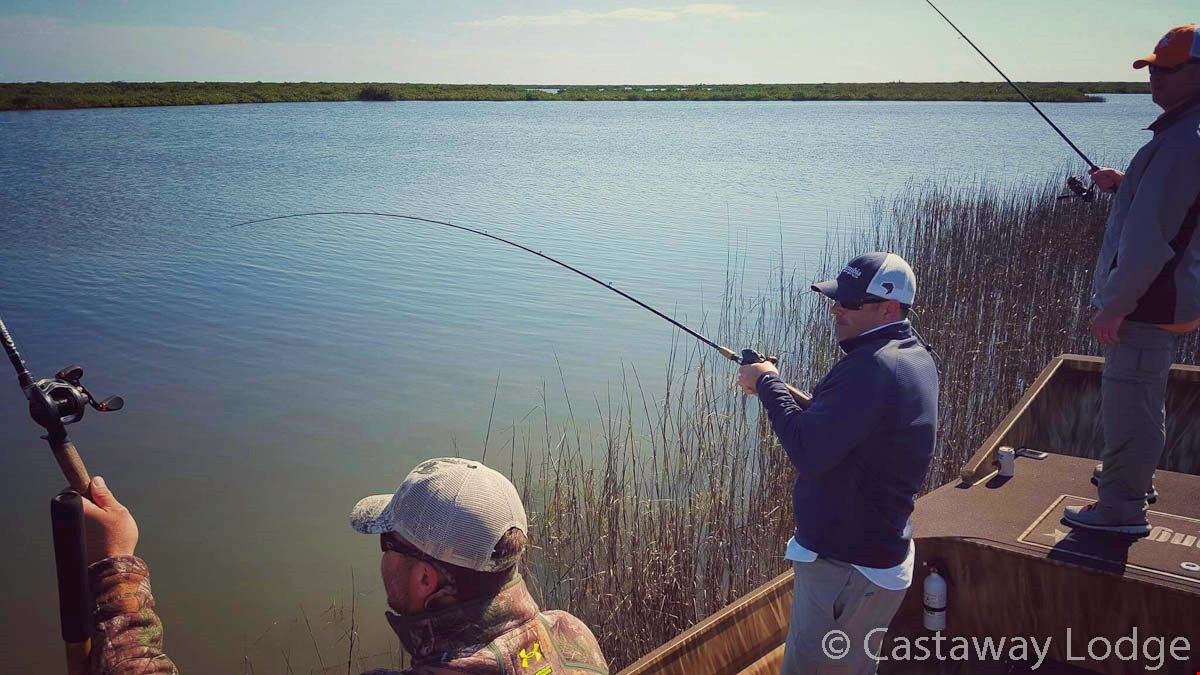 Trout action looking to heat up by bayboat with brownie season opening!