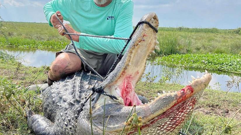 Gator opens 9/10/25