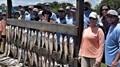 Trout Fishing, Back & Forth