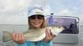 Trout On Shell, Reds In The Back Lakes