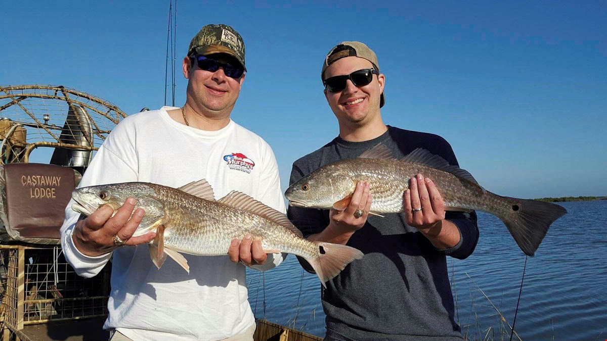 Airboat Redfishing has been phenomenal.