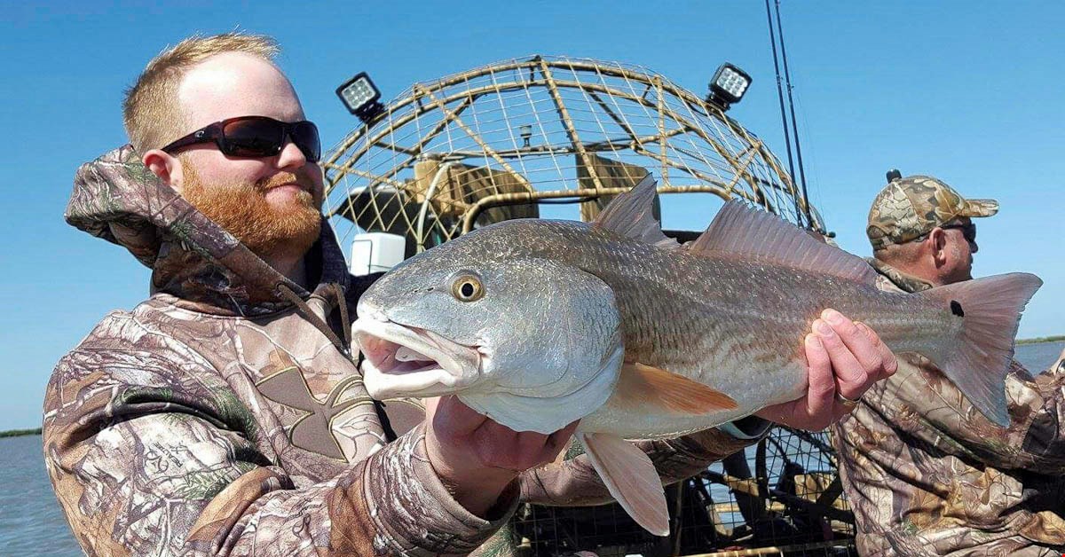 Airboat Redfishing heats up big time!