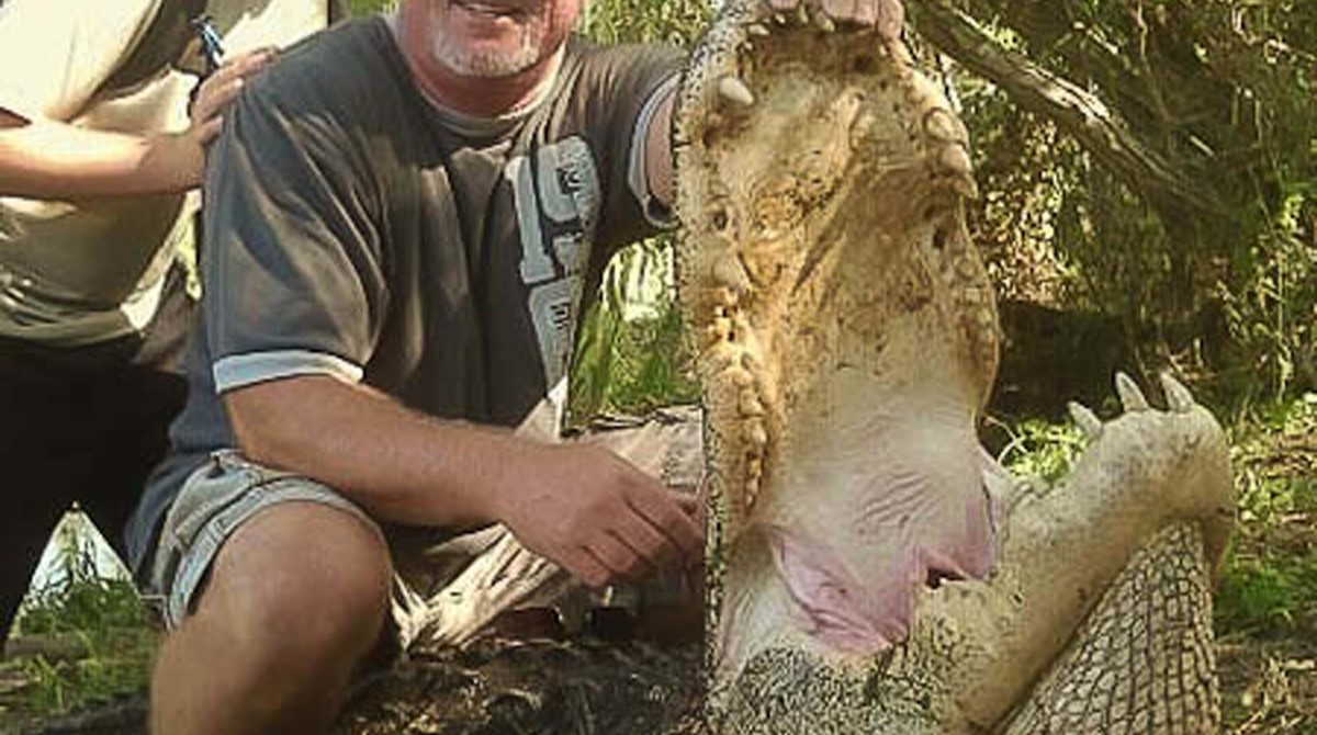 Texas Alligator Hunting, Wild Gator Guides