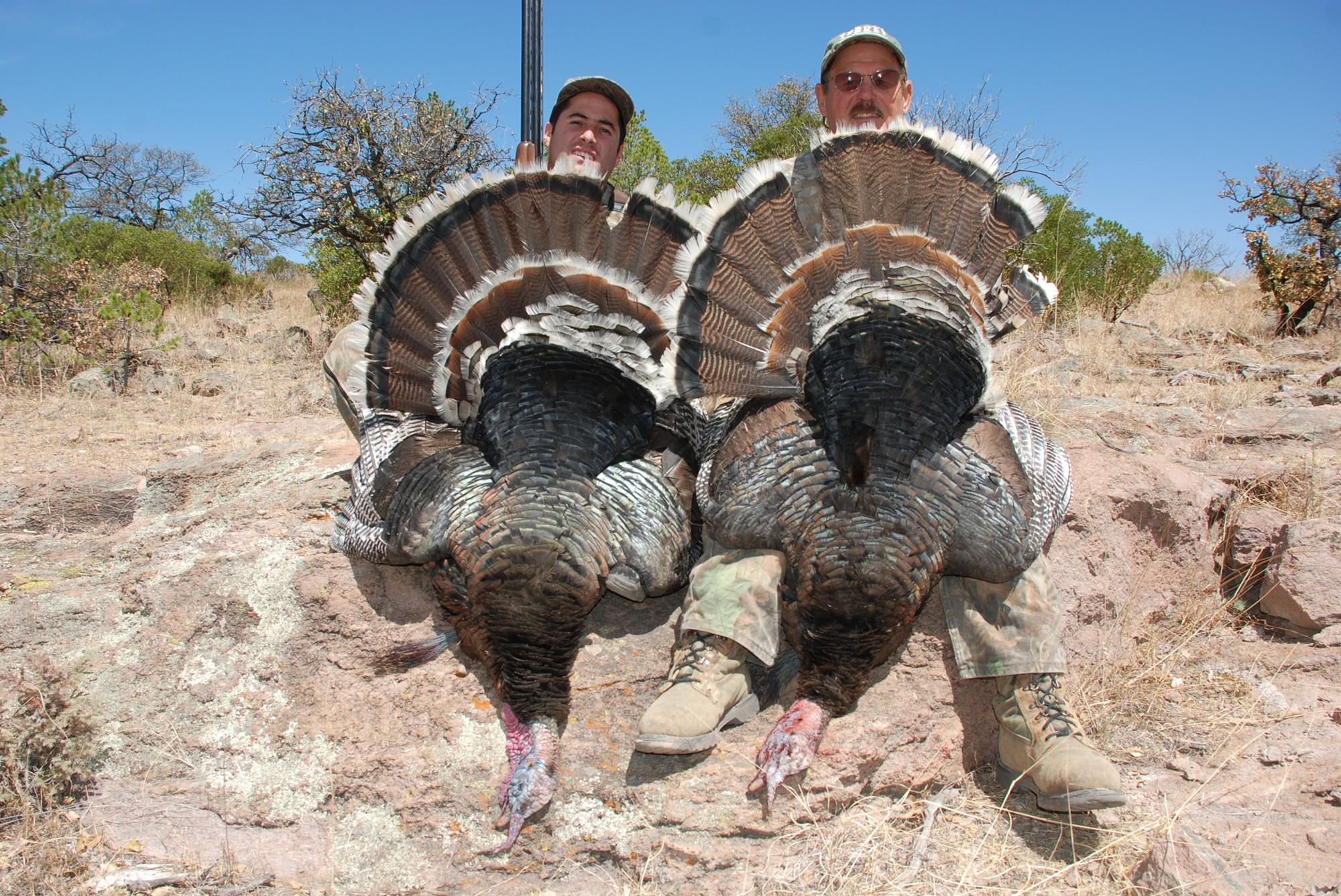 Mexico Gould's Turkey Hunting