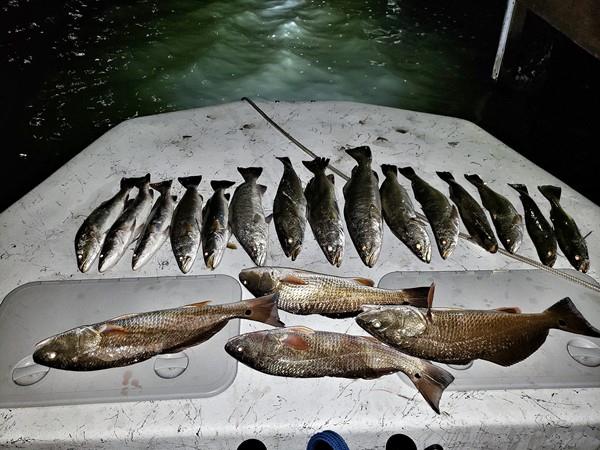 Night Fishing - Beat The Heat & The Crowds