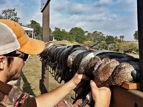 Texas Redhead Hunting