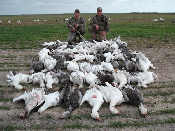 Texas Goose Hunting