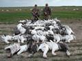 Texas Goose Hunting