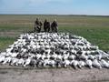 Texas Goose Hunting