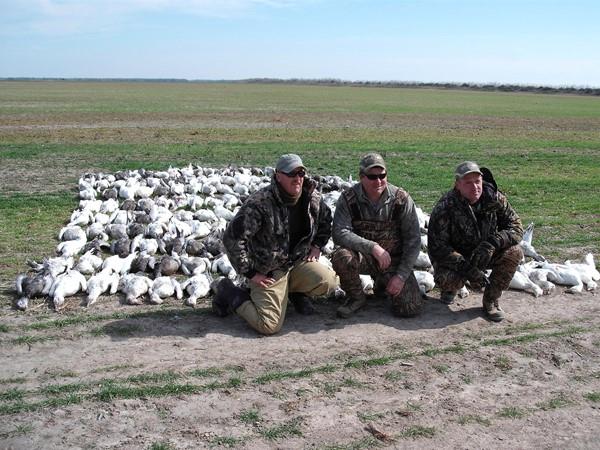 Texas Goose Hunting