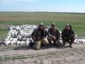 Texas Goose Hunting