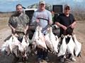 Texas Goose Hunting