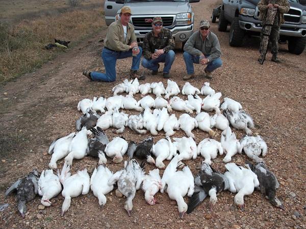 Texas Goose Hunting