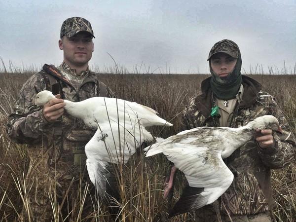 Texas Goose Hunting